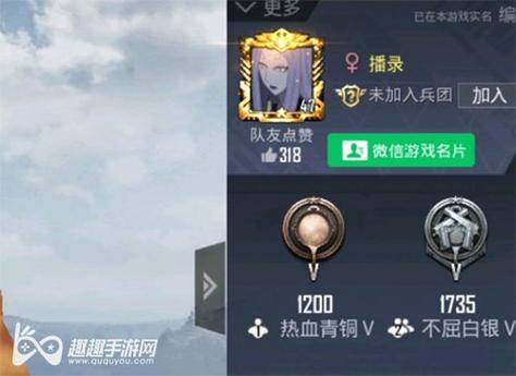 和平精英【雪儿内核】辅助